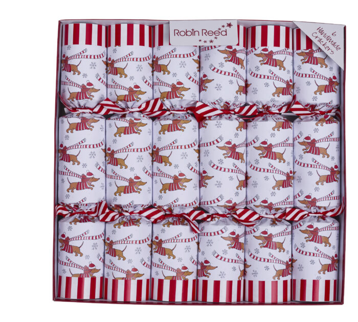Racing Sausage Dog<br> Christmas Crackers - Image 3