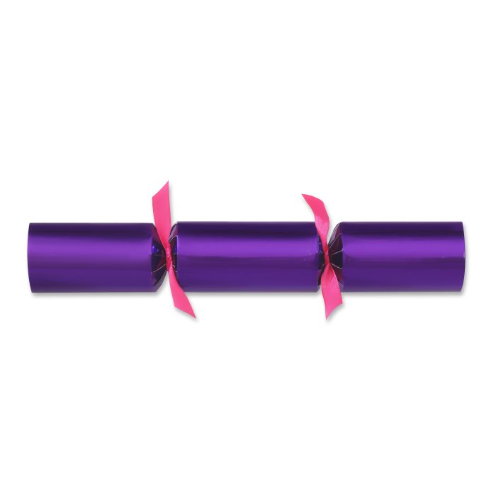 Squishy Penguins<br> Christmas Crackers - Image 5